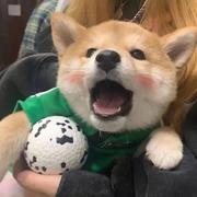 Ryoko的个人资料头像