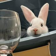 用户2939176575813的个人资料头像