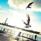 菜到没人带的个人资料头像