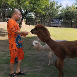 木容肤头像