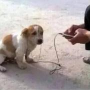 大白菜155的个人资料头像