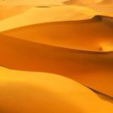 苦行僧的苦难38836921头像