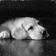 onceone的个人资料头像