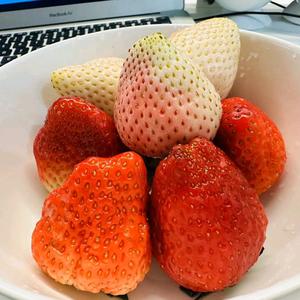 气质小姐姐vlog头像