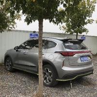 优雅小猫YJ1头像