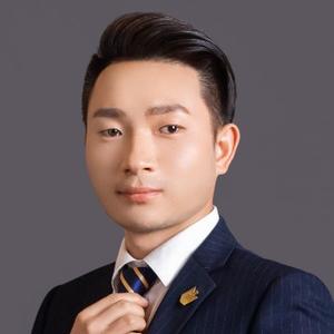 安康博元段宏稳头像