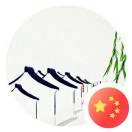 Selooce的个人资料头像