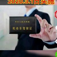 梅贤松  安吉头像