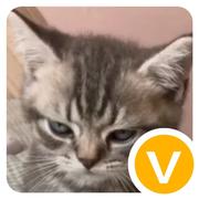 努力我要努力的个人资料头像