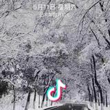 虎子头像