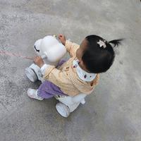 兔叽不兔叽头像