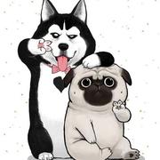 守护者359的个人资料头像