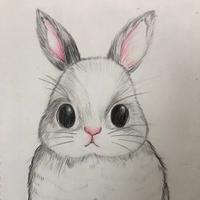 兔兔白白可爱头像