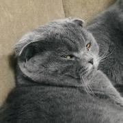 北海南竹的个人资料头像