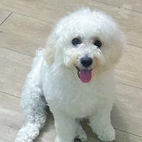 俗了清风M头像