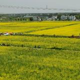 分秒必争辰星l8头像