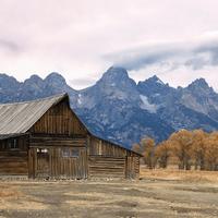 用户268555827头像