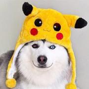 用户6511947938003的个人资料头像