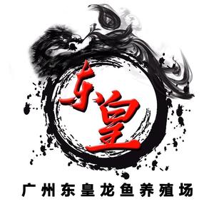 东皇（红雀）龙鱼头像