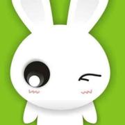 叶虫虫的个人资料头像