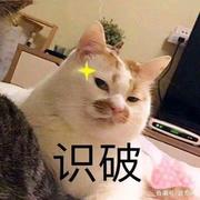 yufei666的个人资料头像