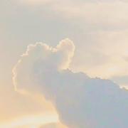 艾伦_耶格宇的个人资料头像