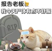 powerCat的个人资料头像