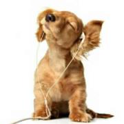 秋刀鱼会过期_Z的个人资料头像