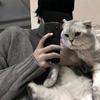 诗意百香果CTr头像