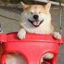 大胃王的个人资料头像