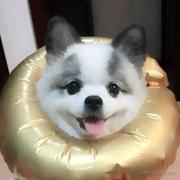 breadhua的个人资料头像