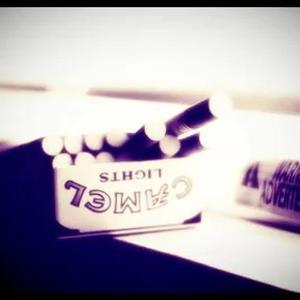 幸运鲸鱼pI头像