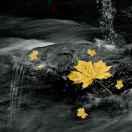 森同学的个人资料头像