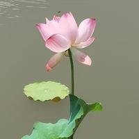 一切随缘的我xy头像