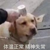 用户1797261100612头像