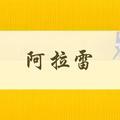 阿拉阿拉雷头像