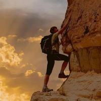 多才多艺橘子mi头像