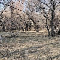 醉醺醺的人字拖头像