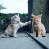 👫眰恦头像