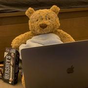 江陵折纸的个人资料头像