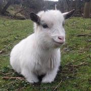 大闸蟹u的个人资料头像