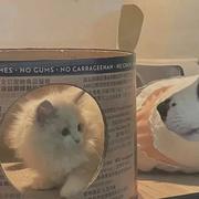 用户5160569603699的个人资料头像