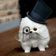 zheng9892012的个人资料头像