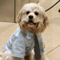 我当时都惊了头像