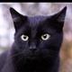黑猫82暗夜行者 · 欧拉闪电猫车主·车龄半年头像