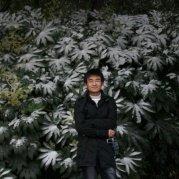 舟迹天涯的个人资料头像