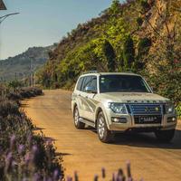 2022一起旅行头像