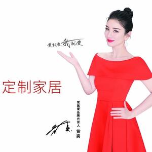 凤台爱就爱全屋定制装饰头像