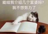 清泓9217头像