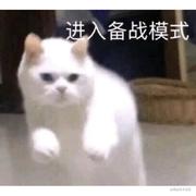 热冰块的个人资料头像